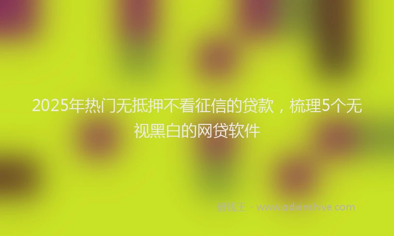 2025年热门无抵押不看征信的贷款，梳理5个无视黑白的网贷软件
