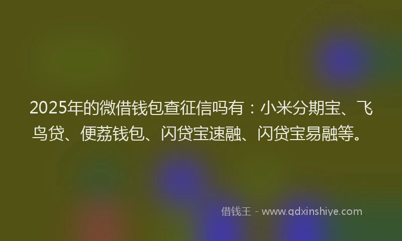 2025年的微借钱包查征信吗有：小米分期宝、飞鸟贷、便荔钱包、闪贷宝速融、闪贷宝易融等。