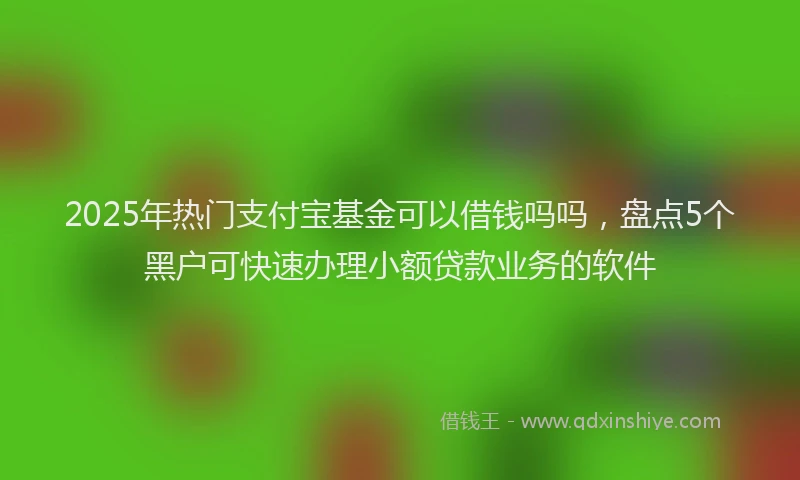 2025年热门支付宝基金可以借钱吗吗，盘点5个黑户可快速办理小额贷款业务的软件