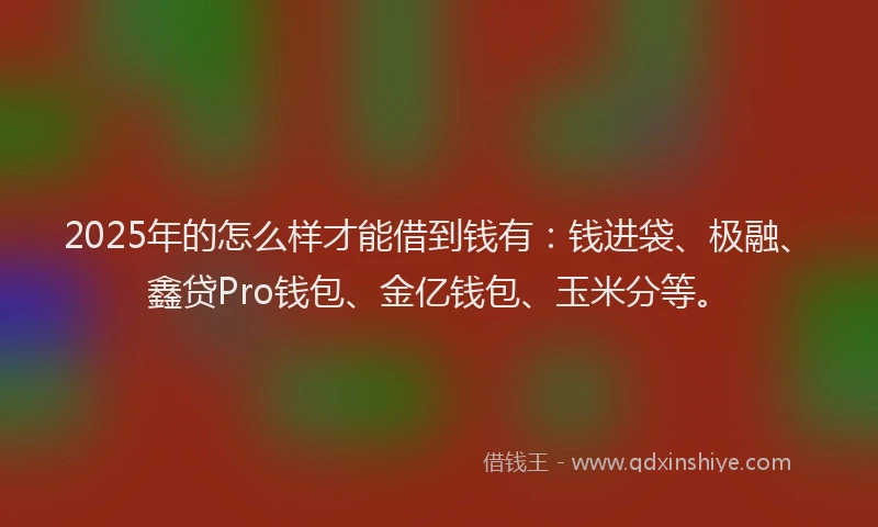 2025年的怎么样才能借到钱有：钱进袋、极融、鑫贷Pro钱包、金亿钱包、玉米分等。