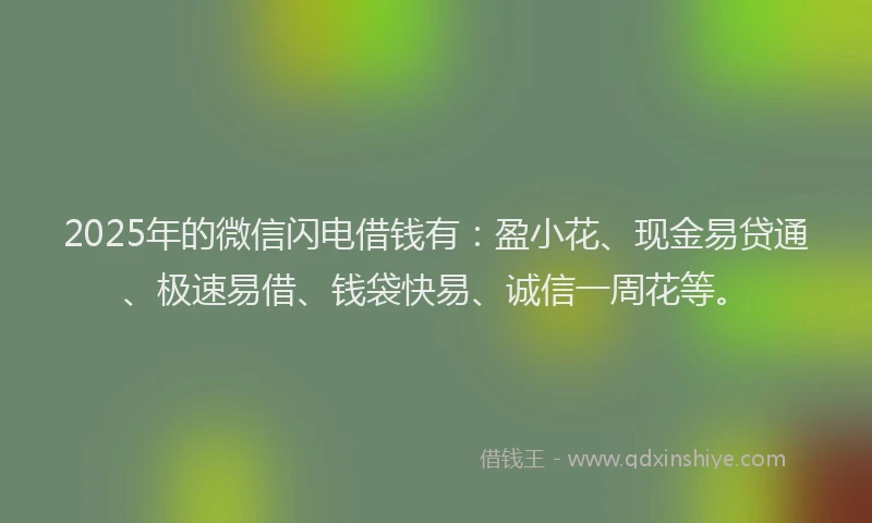 2025年的微信闪电借钱有：盈小花、现金易贷通、极速易借、钱袋快易、诚信一周花等。
