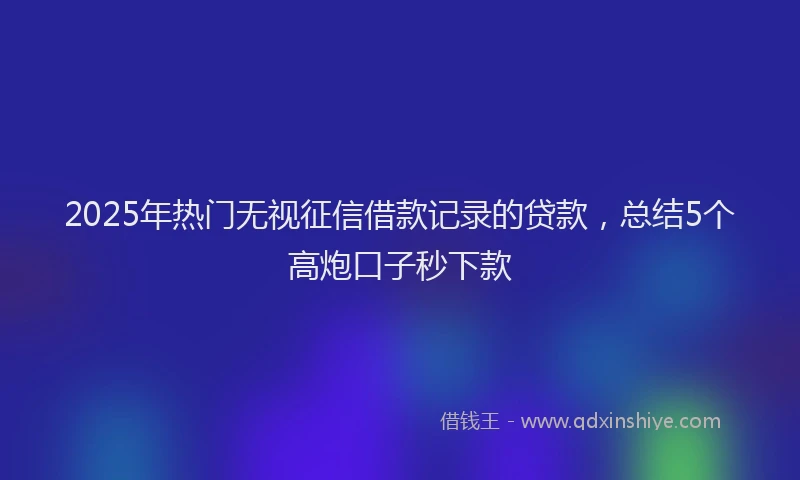 2025年热门无视征信借款记录的贷款，总结5个高炮口子秒下款