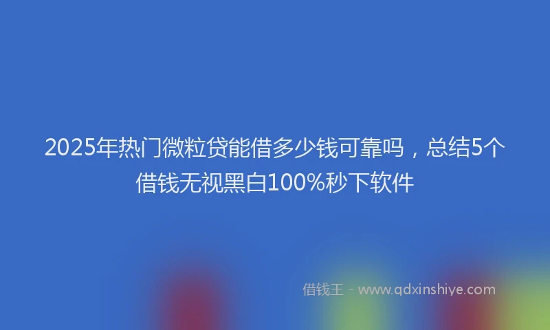 2025年热门微粒贷能借多少钱可靠吗，总结5个借钱无视黑白100%秒下软件