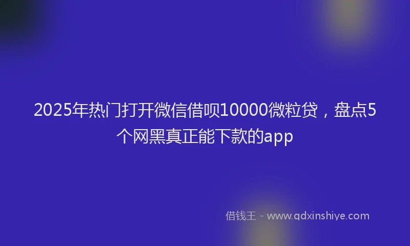 2025年热门打开微信借呗10000微粒贷，盘点5个网黑真正能下款的app