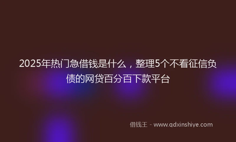 2025年热门急借钱是什么，整理5个不看征信负债的网贷百分百下款平台