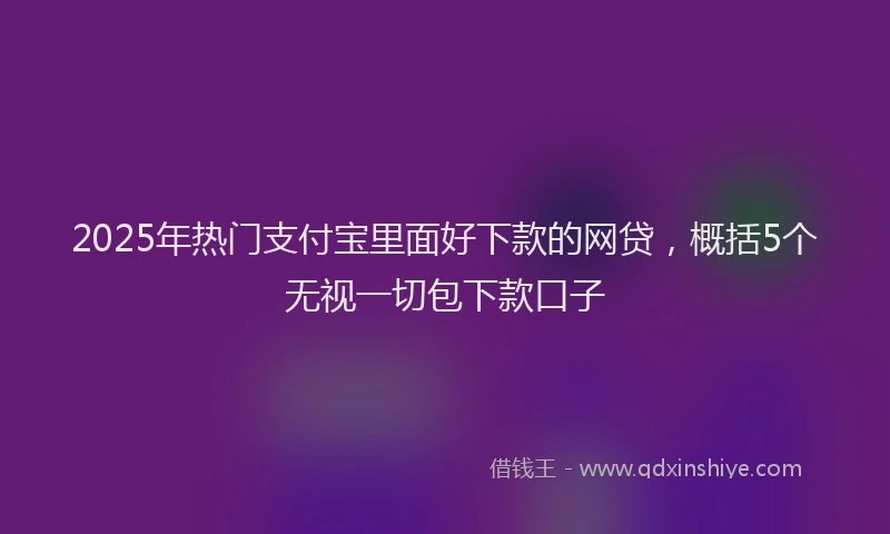 2025年热门支付宝里面好下款的网贷，概括5个无视一切包下款口子