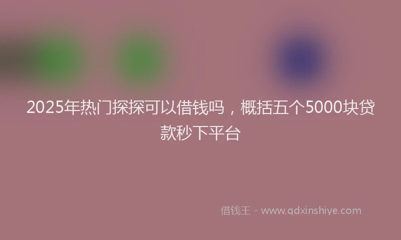 2025年热门探探可以借钱吗，概括五个5000块贷款秒下平台