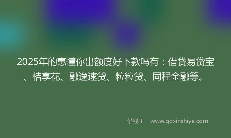 2025年的惠懂你出额度好下款吗有：借贷易贷宝、桔享花、融逸速贷、粒粒贷、同程金融等。