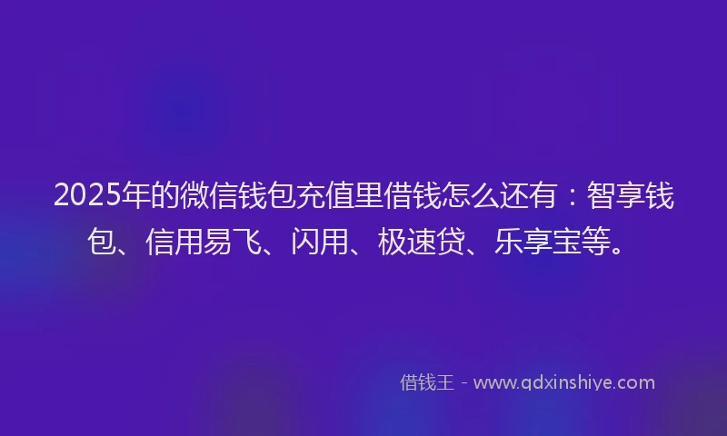 2025年的微信钱包充值里借钱怎么还有：智享钱包、信用易飞、闪用、极速贷、乐享宝等。