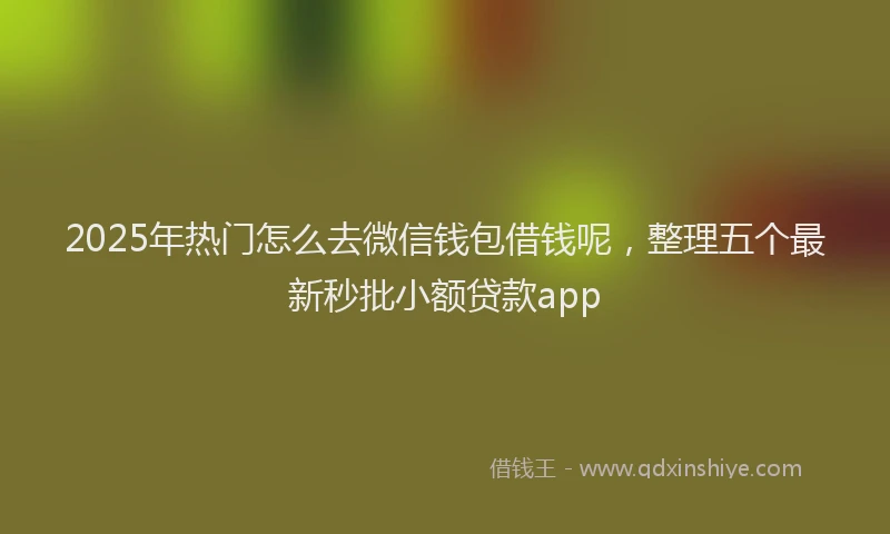 2025年热门怎么去微信钱包借钱呢，整理五个最新秒批小额贷款app