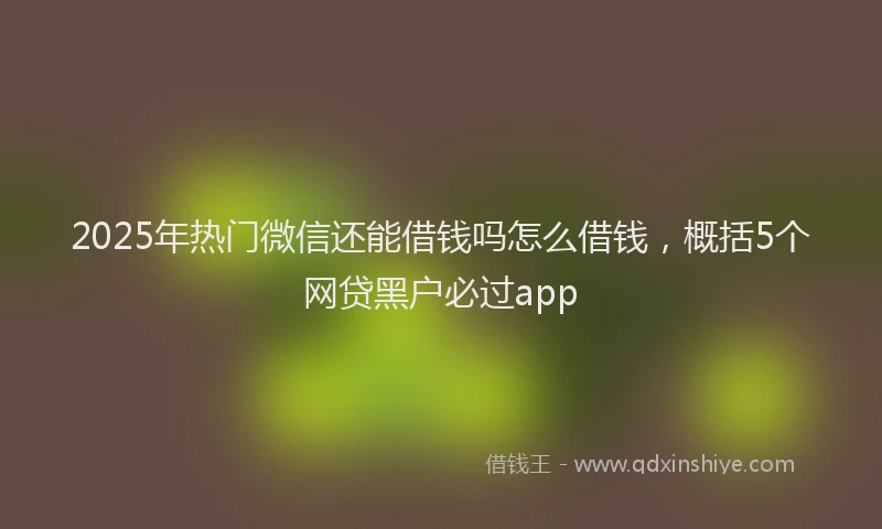 2025年热门微信还能借钱吗怎么借钱，概括5个网贷黑户必过app