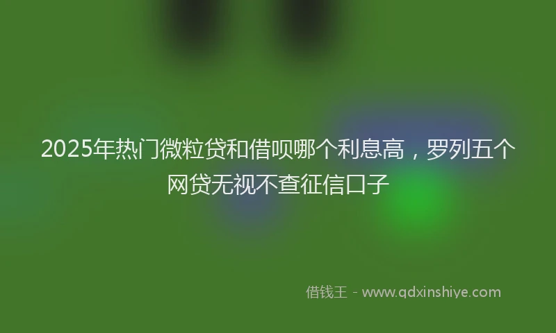 2025年热门微粒贷和借呗哪个利息高，罗列五个网贷无视不查征信口子