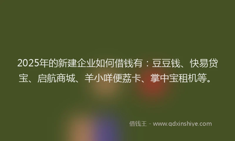 2025年的新建企业如何借钱有：豆豆钱、快易贷宝、启航商城、羊小咩便荔卡、掌中宝租机等。