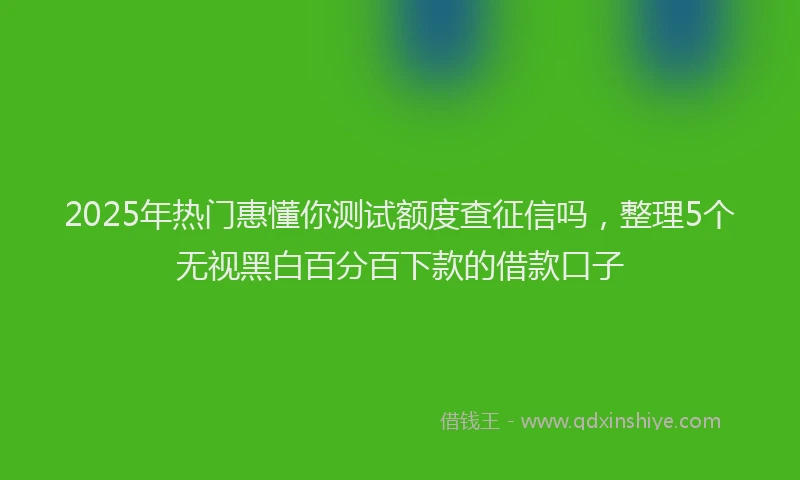 2025年热门惠懂你测试额度查征信吗，整理5个无视黑白百分百下款的借款口子