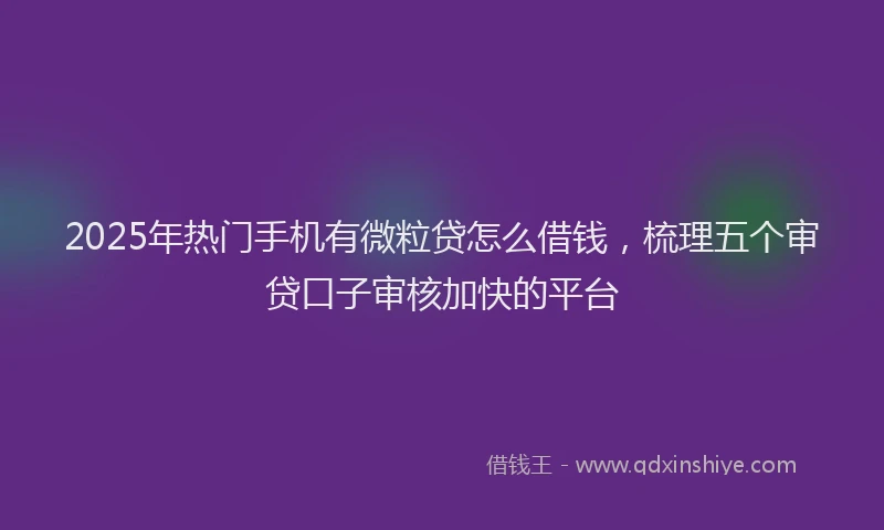 2025年热门手机有微粒贷怎么借钱，梳理五个审贷口子审核加快的平台
