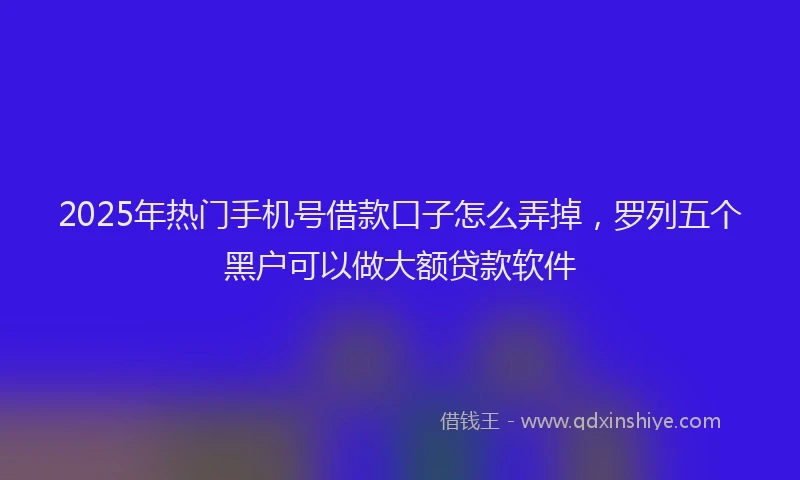 2025年热门手机号借款口子怎么弄掉，罗列五个黑户可以做大额贷款软件