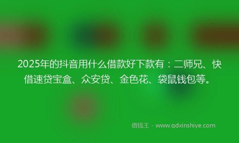 2025年的抖音用什么借款好下款有：二师兄、快借速贷宝盒、众安贷、金色花、袋鼠钱包等。