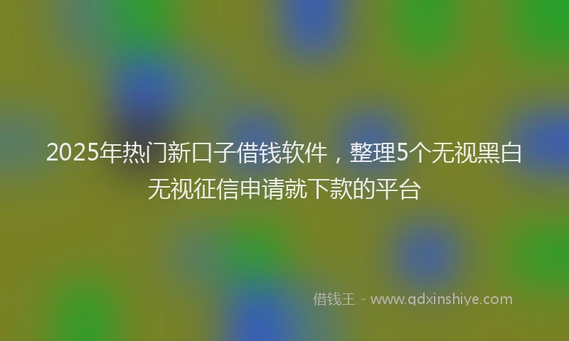 2025年热门新口子借钱软件，整理5个无视黑白无视征信申请就下款的平台
