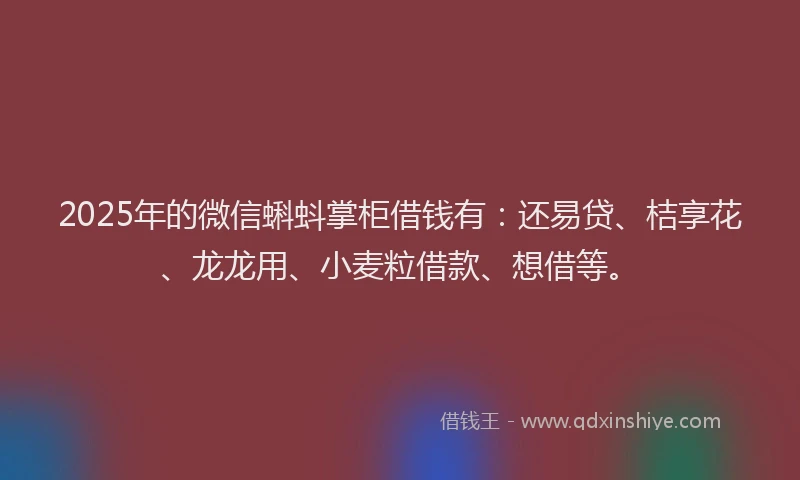 2025年的微信蝌蚪掌柜借钱有：还易贷、桔享花、龙龙用、小麦粒借款、想借等。