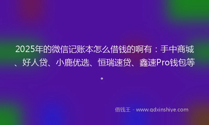 2025年的微信记账本怎么借钱的啊有：手中商城、好人贷、小鹿优选、恒瑞速贷、鑫速Pro钱包等。