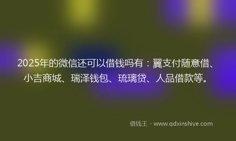 2025年的微信还可以借钱吗有：翼支付随意借、小吉商城、瑞泽钱包、琉璃贷、人品借款等。