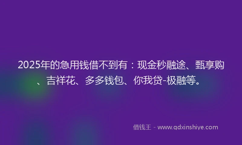 2025年的急用钱借不到有：现金秒融途、甄享购、吉祥花、多多钱包、你我贷-极融等。