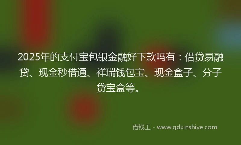 2025年的支付宝包银金融好下款吗有：借贷易融贷、现金秒借通、祥瑞钱包宝、现金盒子、分子贷宝盒等。