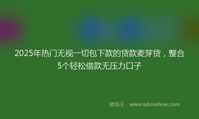 2025年热门无视一切包下款的贷款麦芽贷，整合5个轻松借款无压力口子