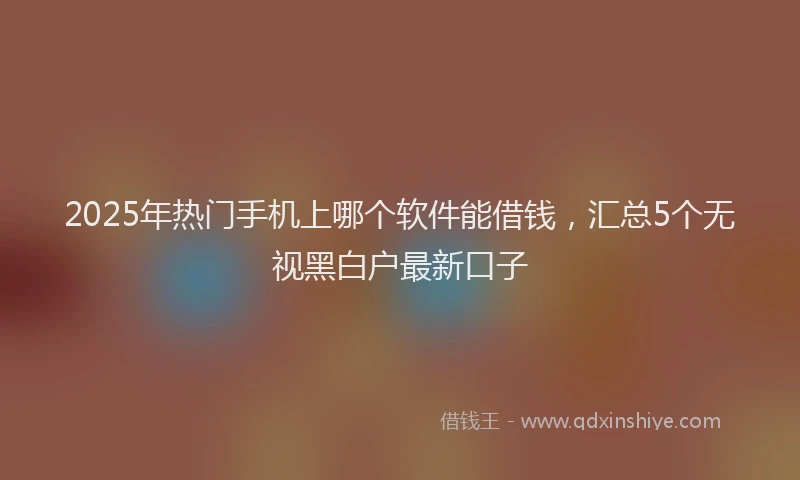 2025年热门手机上哪个软件能借钱，汇总5个无视黑白户最新口子