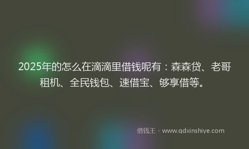 2025年的怎么在滴滴里借钱呢有：森森贷、老哥租机、全民钱包、速借宝、够享借等。