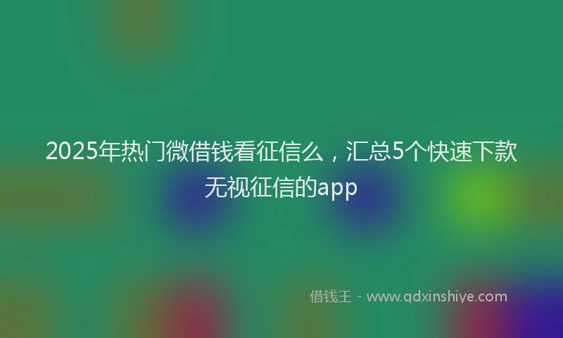 2025年热门微借钱看征信么，汇总5个快速下款无视征信的app