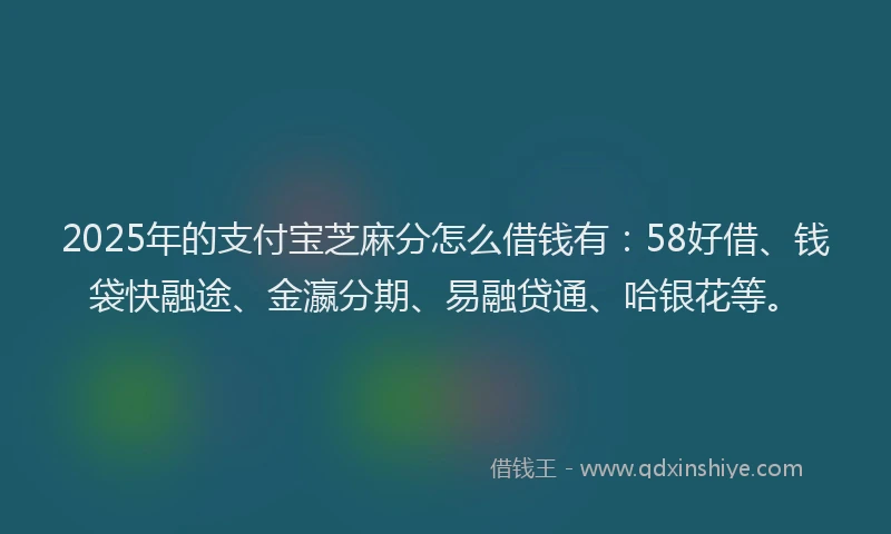 2025年的支付宝芝麻分怎么借钱有：58好借、钱袋快融途、金瀛分期、易融贷通、哈银花等。