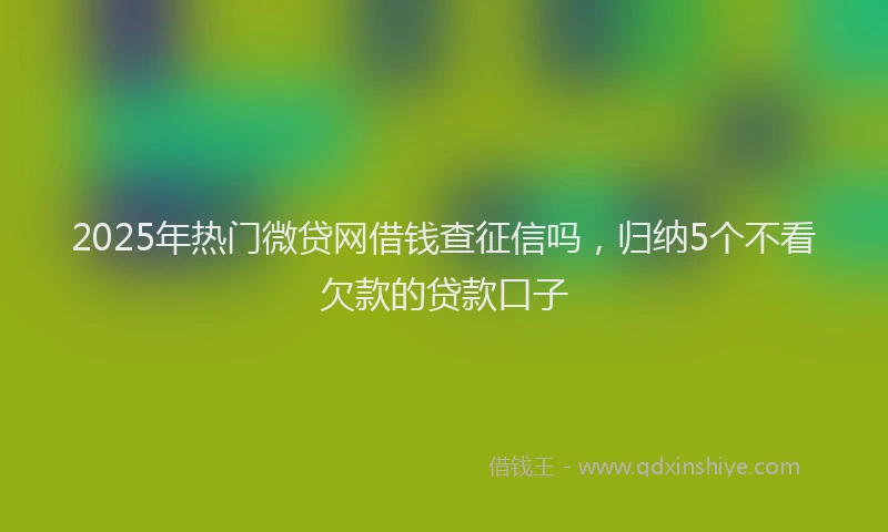 2025年热门微贷网借钱查征信吗，归纳5个不看欠款的贷款口子