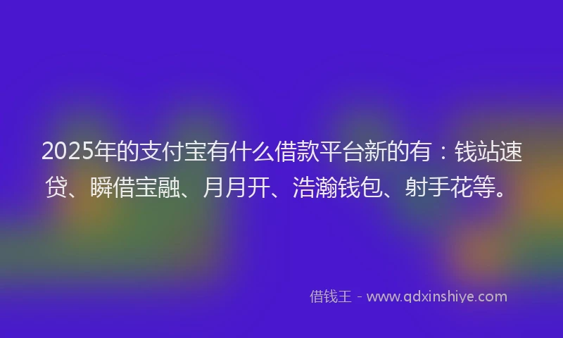2025年的支付宝有什么借款平台新的有：钱站速贷、瞬借宝融、月月开、浩瀚钱包、射手花等。