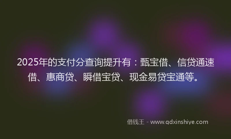 2025年的支付分查询提升有：甄宝借、信贷通速借、惠商贷、瞬借宝贷、现金易贷宝通等。