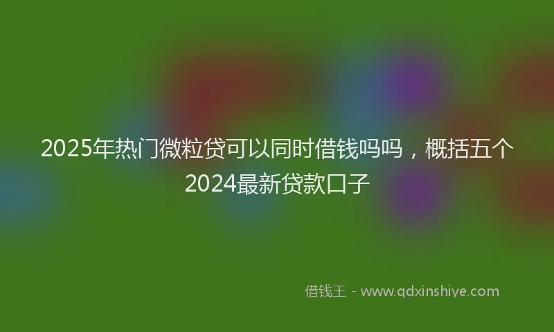 2025年热门微粒贷可以同时借钱吗吗，概括五个2024最新贷款口子