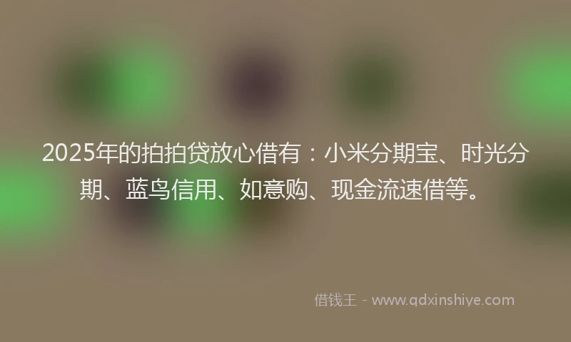2025年的拍拍贷放心借有：小米分期宝、时光分期、蓝鸟信用、如意购、现金流速借等。