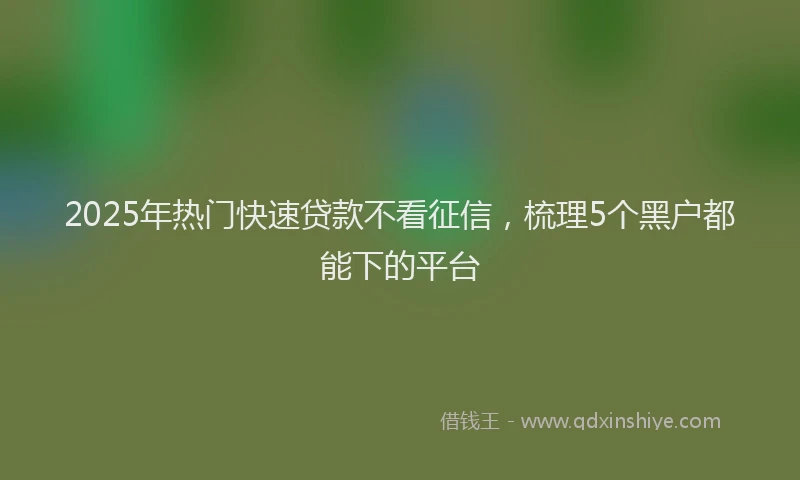 2025年热门快速贷款不看征信，梳理5个黑户都能下的平台