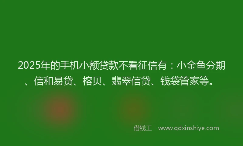 2025年的手机小额贷款不看征信有：小金鱼分期、信和易贷、榕贝、翡翠信贷、钱袋管家等。