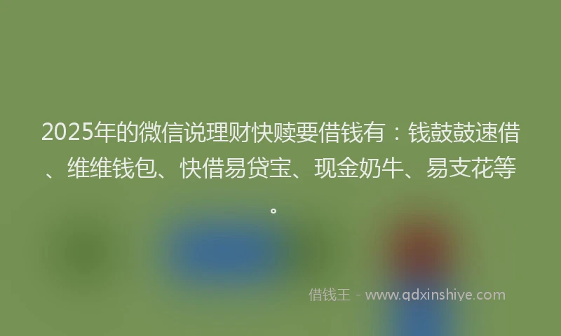2025年的微信说理财快赎要借钱有：钱鼓鼓速借、维维钱包、快借易贷宝、现金奶牛、易支花等。