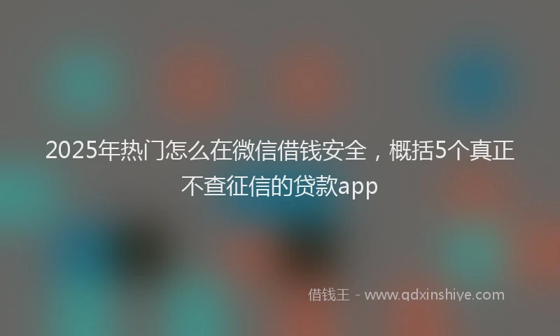 2025年热门怎么在微信借钱安全，概括5个真正不查征信的贷款app