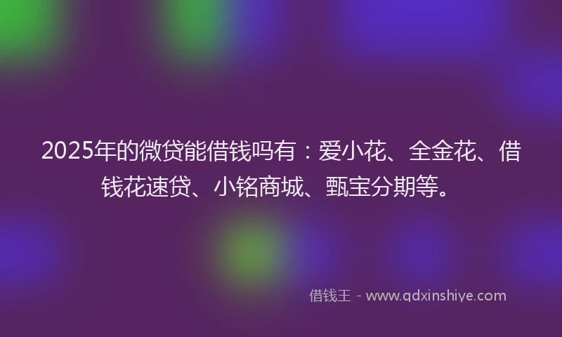 2025年的微贷能借钱吗有：爱小花、全金花、借钱花速贷、小铭商城、甄宝分期等。