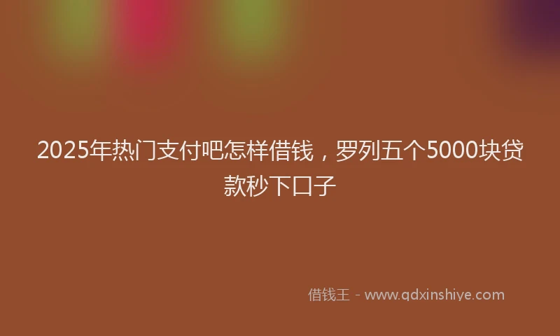 2025年热门支付吧怎样借钱，罗列五个5000块贷款秒下口子