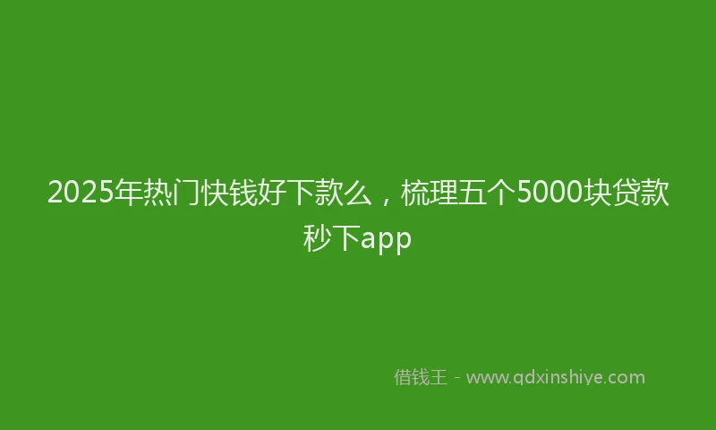 2025年热门快钱好下款么，梳理五个5000块贷款秒下app