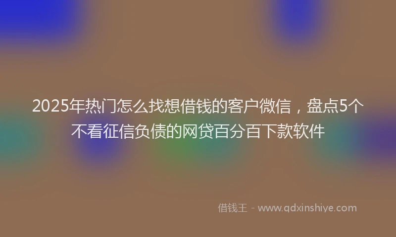 2025年热门怎么找想借钱的客户微信，盘点5个不看征信负债的网贷百分百下款软件