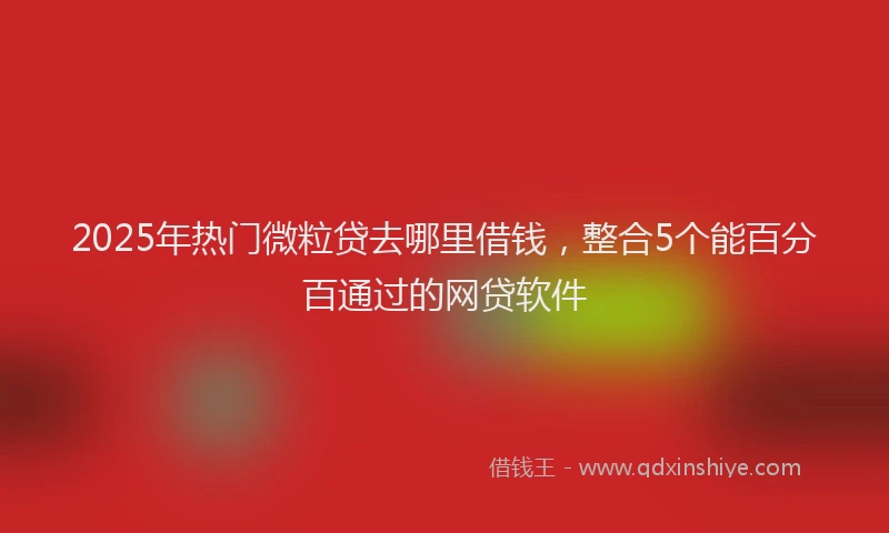 2025年热门微粒贷去哪里借钱，整合5个能百分百通过的网贷软件