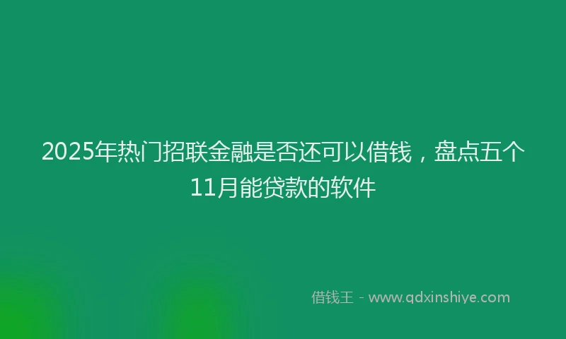 2025年热门招联金融是否还可以借钱，盘点五个11月能贷款的软件
