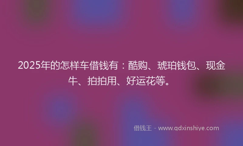 2025年的怎样车借钱有：酷购、琥珀钱包、现金牛、拍拍用、好运花等。