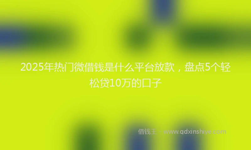 2025年热门微借钱是什么平台放款，盘点5个轻松贷10万的口子