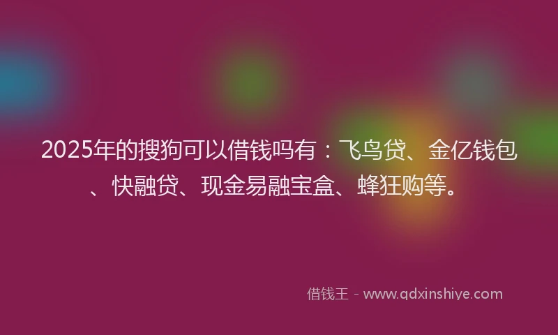 2025年的搜狗可以借钱吗有：飞鸟贷、金亿钱包、快融贷、现金易融宝盒、蜂狂购等。